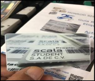 MonRod Sistemas / Galeria de Etiquetas 17 / Tarjetas ID's / Tarjetas de Identificacion / Credenciales / Tarjetas PVC / Tijuana