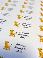 MonRod Sistemas / Galeria de Etiquetas 10 / Etiquetas para Identificacion de Ropa / Etiquetas para planchar / Iron Labels / Name Labels / ID Labels / Etiquetas con Nombres / Etiquetas termoadhesivas / Etiquetas para marcar ropa / etiquetas termosoldables / Tijuana