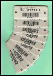 MonRod Sistemas / Galeria de Etiquetas 8 / Etiquetas Para Activos Fijos / Etiquetas Prolipropileno / Etiquetas Polyester / Etiquetas Polycarbonato / Etiquetas Laminadas / Etiquetas de Aluminio / Etiquetas para identificar Activos Fijos / Identificacion de Activos / Identificacion de Activos Fijos / Tijuana / Placas para Activos Fijos / Activo Fijo / Etiquetas y Placas para Activo Fijo / Etiquetas para marcar Activos Fijos / Control de Activos Fijos / Etiquetado y Plaqueo para Activos Fijos / Etiquetas de Activos Fijos / Impresion de Etiquetas para Activos Fijos