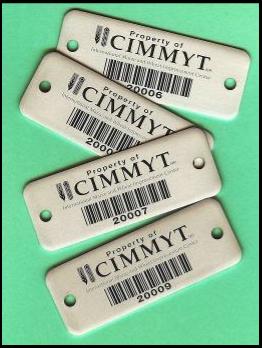 MonRod Sistemas / Galeria de Etiquetas 8 / Etiquetas Para Activos Fijos / Etiquetas Prolipropileno / Etiquetas Polyester / Etiquetas Polycarbonato / Etiquetas Laminadas / Etiquetas de Aluminio / Etiquetas para identificar Activos Fijos / Identificacion de Activos / Identificacion de Activos Fijos / Tijuana / Placas para Activos Fijos / Activo Fijo / Etiquetas y Placas para Activo Fijo / Etiquetas para marcar Activos Fijos / Control de Activos Fijos / Etiquetado y Plaqueo para Activos Fijos / Etiquetas de Activos Fijos / Impresion de Etiquetas para Activos Fijos
